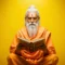 Vedic Pandit in Ahmedabad